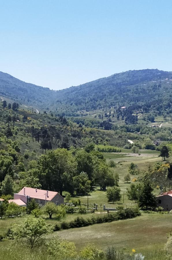 Turismo Rural Macieira Brava Guarda Exterior photo